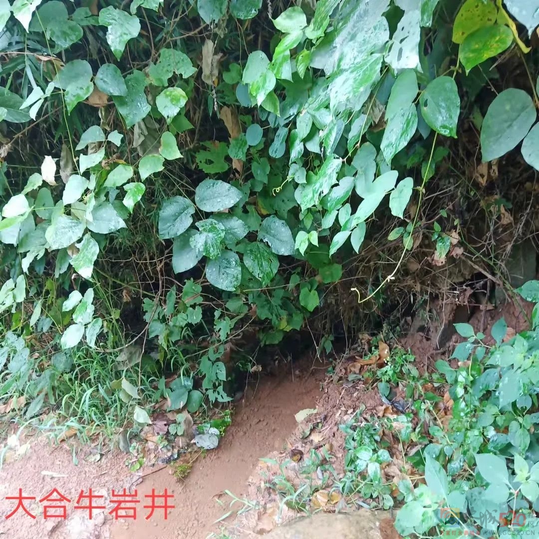 杨公先生钻井救灾的故事201 / 作者:论坛小编01 / 帖子ID:289833