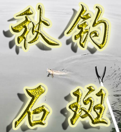 【原创】金秋时节鱼儿肥——秋钓石斑153 / 作者:MDG / 帖子ID:289862