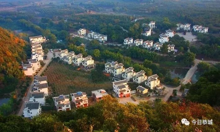 金秋庆丰收、致富感党恩——第十八届桂林恭城月柿节活动总体方案来了356 / 作者:论坛小编01 / 帖子ID:289869