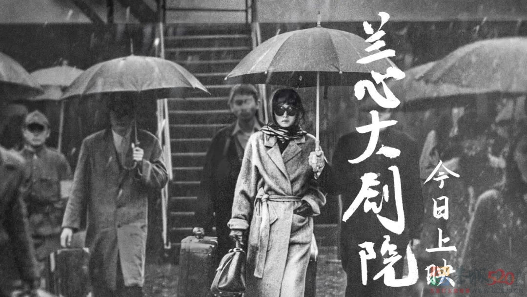 忍了五年，他终于“出圈”了645 / 作者:该做的事情 / 帖子ID:289890
