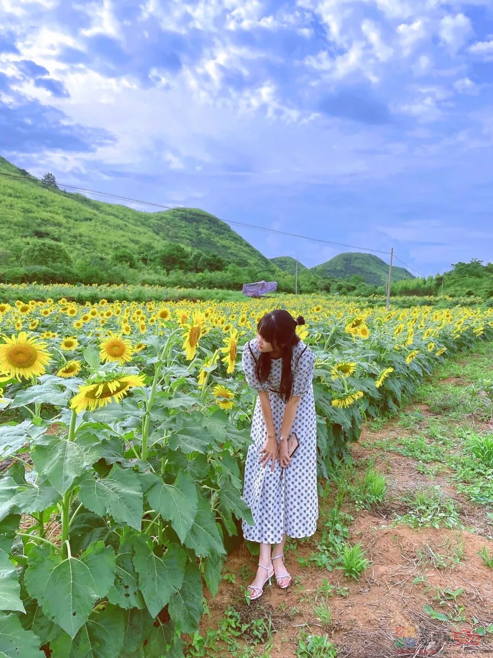 初秋，回望恭城的夏日时光399 / 作者:论坛小编01 / 帖子ID:289921