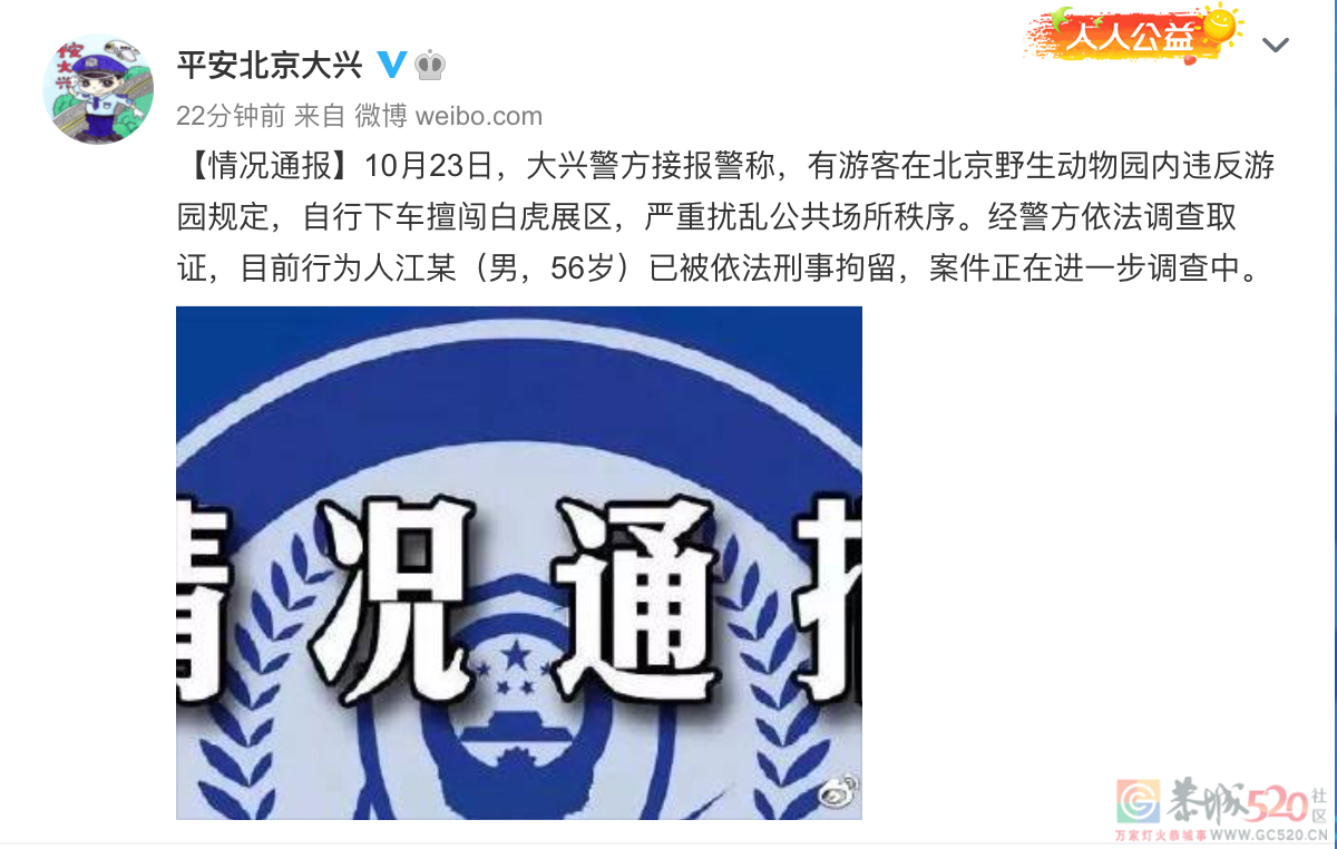 游客突然下车冲向虎群，被刑拘！动物园通报细节890 / 作者:分叉路口 / 帖子ID:289974