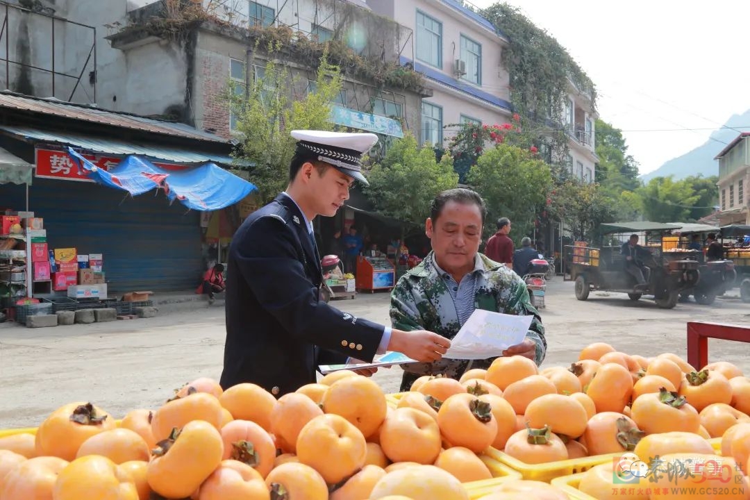 美丽乡村行｜交通安全宣传进果园，交警助农“柿”丰收205 / 作者:论坛小编01 / 帖子ID:290073
