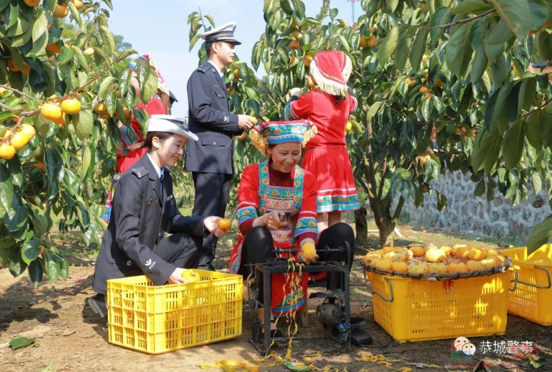 美丽乡村行｜交通安全宣传进果园，交警助农“柿”丰收990 / 作者:论坛小编01 / 帖子ID:290073