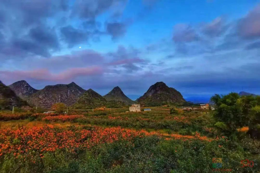恭城：做大做强地理标志产品，“农旅融合”助推乡村振兴432 / 作者:论坛小编01 / 帖子ID:290653
