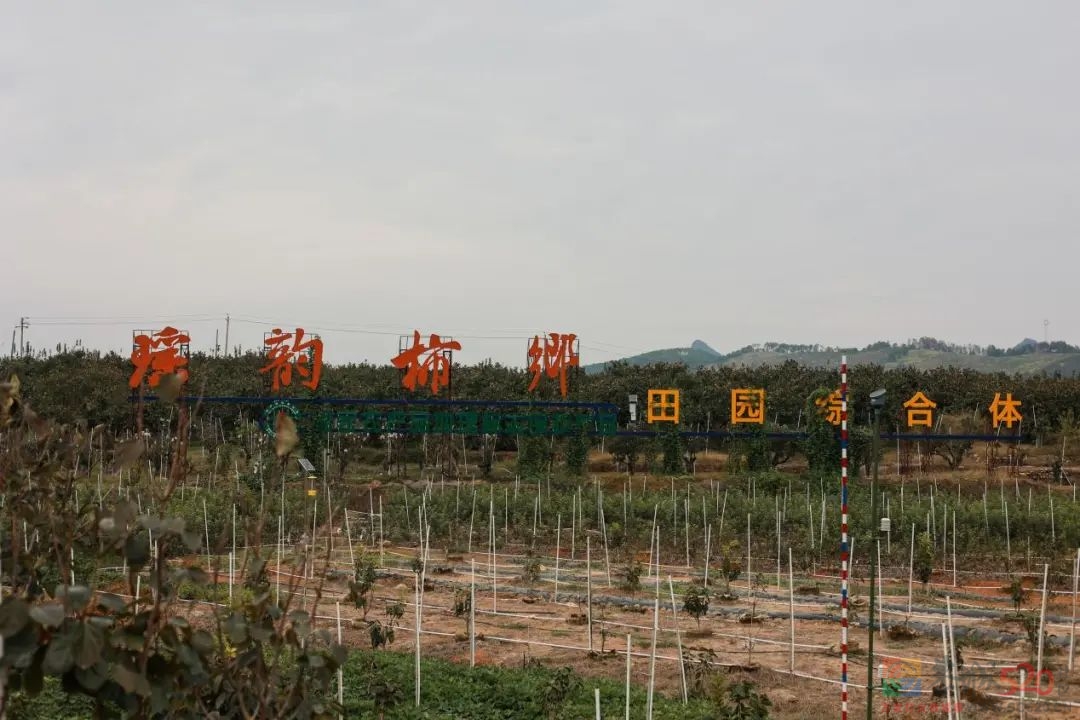 恭城：做大做强地理标志产品，“农旅融合”助推乡村振兴537 / 作者:论坛小编01 / 帖子ID:290653