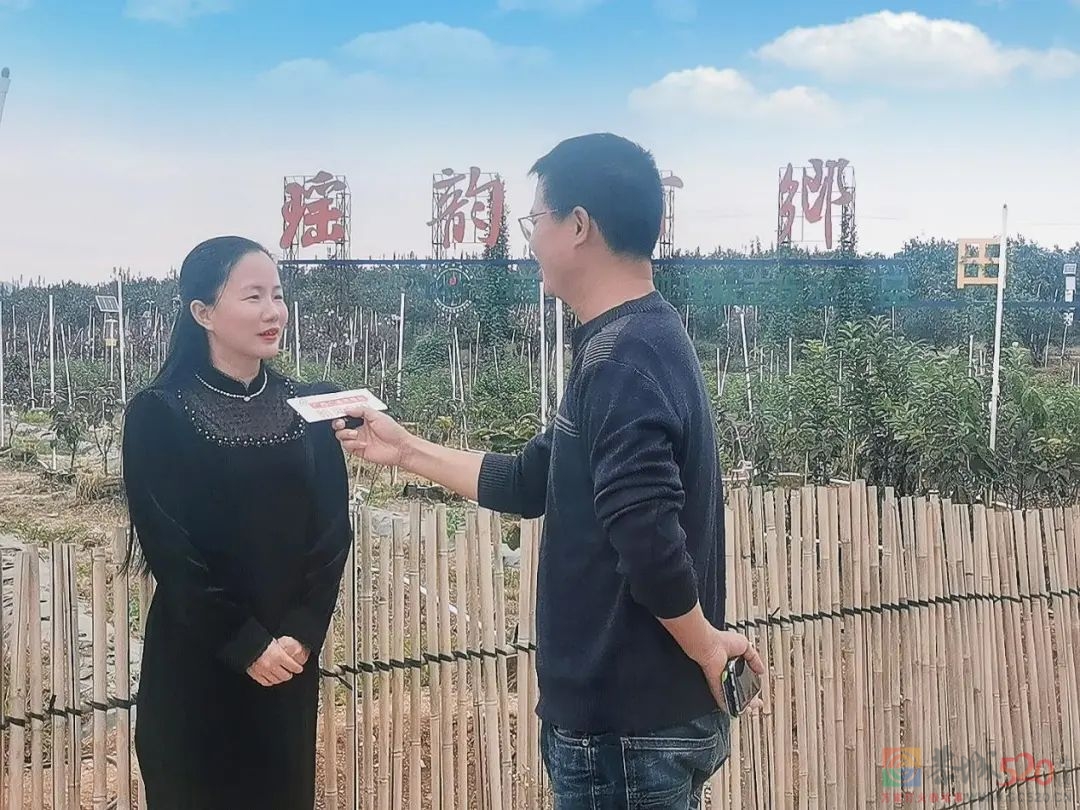 恭城：做大做强地理标志产品，“农旅融合”助推乡村振兴32 / 作者:论坛小编01 / 帖子ID:290653