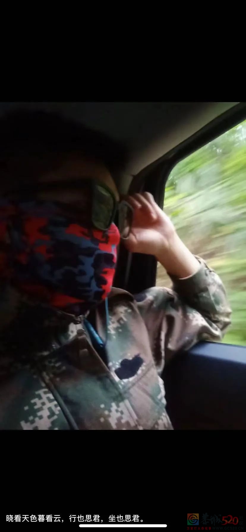 在哀牢山，四个丈量森林的人离开了818 / 作者:儿时的回忆 / 帖子ID:290842
