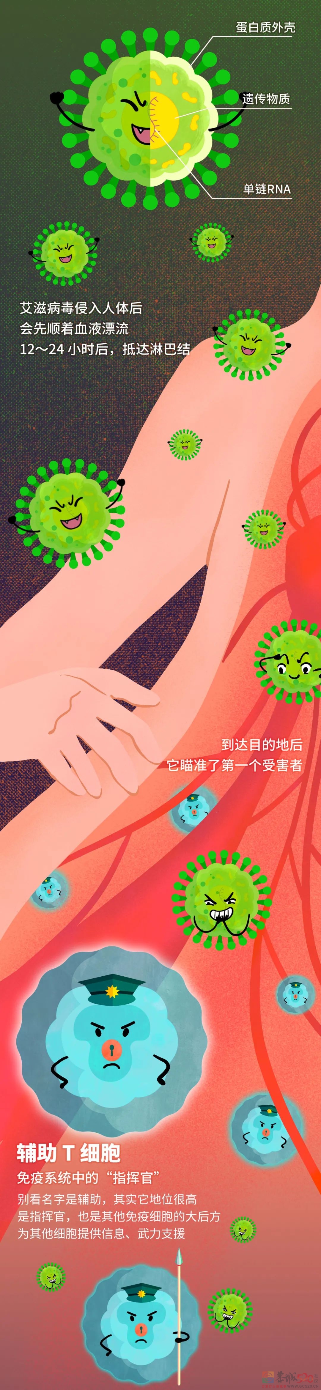 艾滋病毒入侵后，其实你还有72小时自救145 / 作者:健康小天使 / 帖子ID:290889