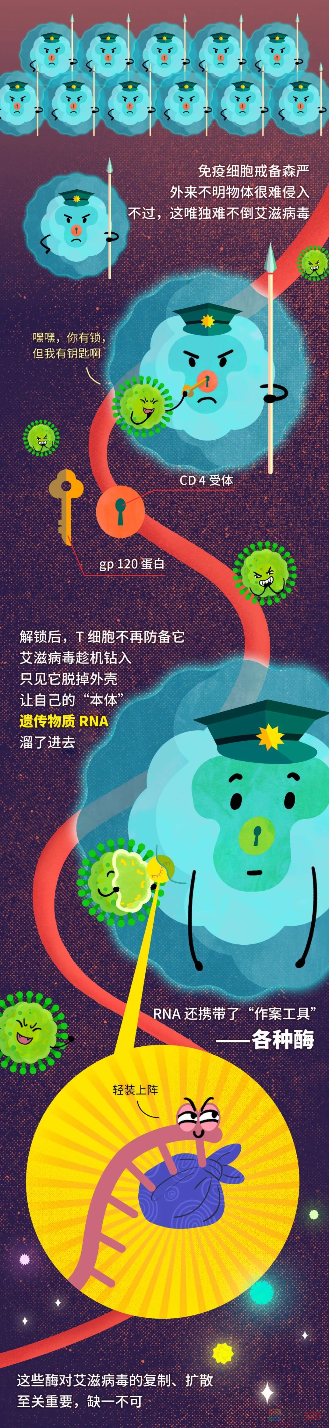 艾滋病毒入侵后，其实你还有72小时自救216 / 作者:健康小天使 / 帖子ID:290889