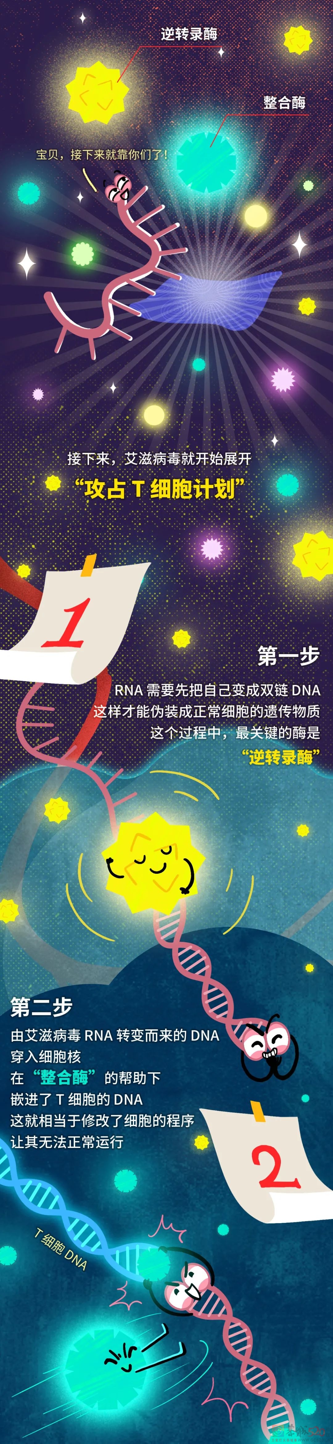 艾滋病毒入侵后，其实你还有72小时自救677 / 作者:健康小天使 / 帖子ID:290889