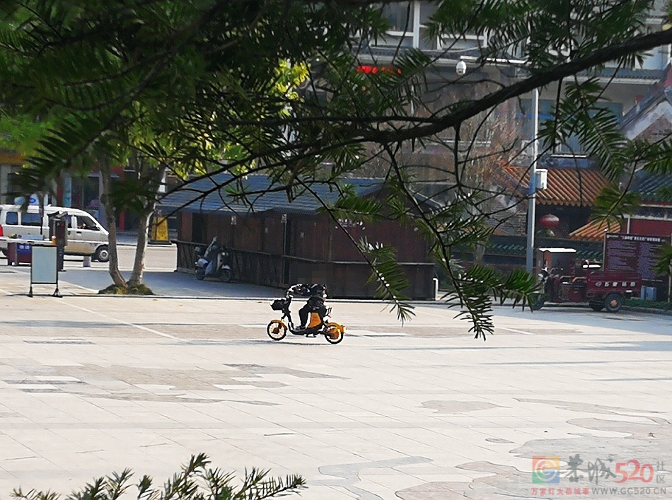 少年儿童学开电动车，险！311 / 作者:平安大叔 / 帖子ID:291165