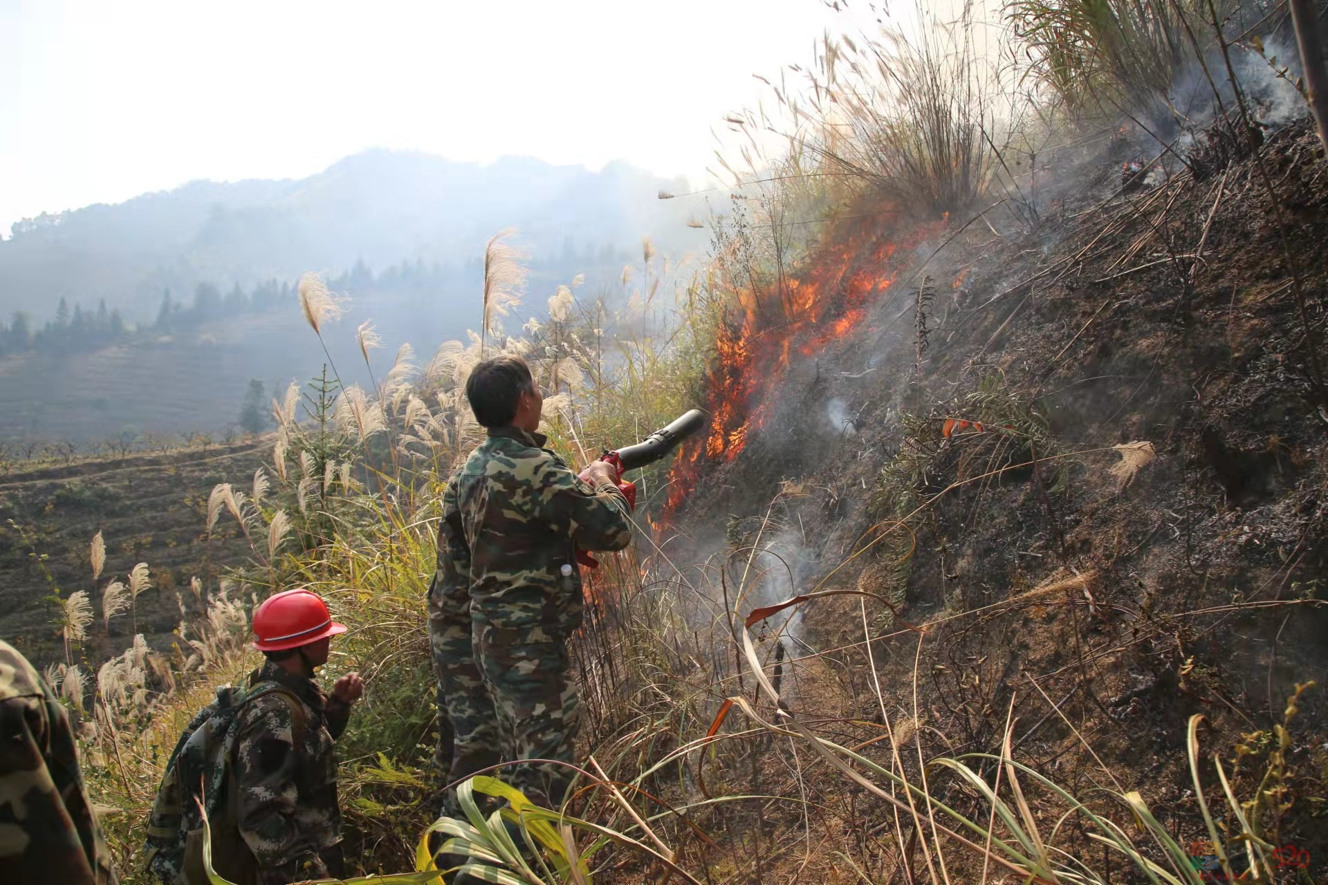 恭城县林业局在河口林场进行国有林场森林消防半专业队伍培训和森林灭火实战演练823 / 作者:论坛小编01 / 帖子ID:291251