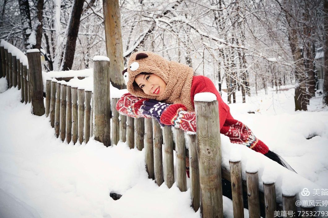 新年219 / 作者:茶江飞雪 / 帖子ID:291667