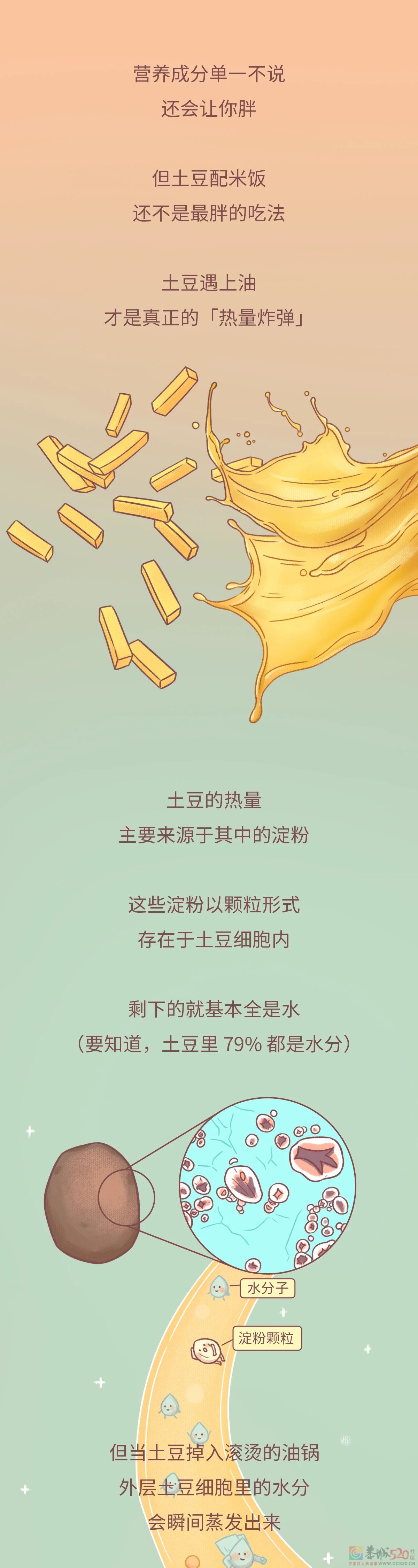 一个秘密：土豆不要和米饭一起吃916 / 作者:健康小天使 / 帖子ID:291840