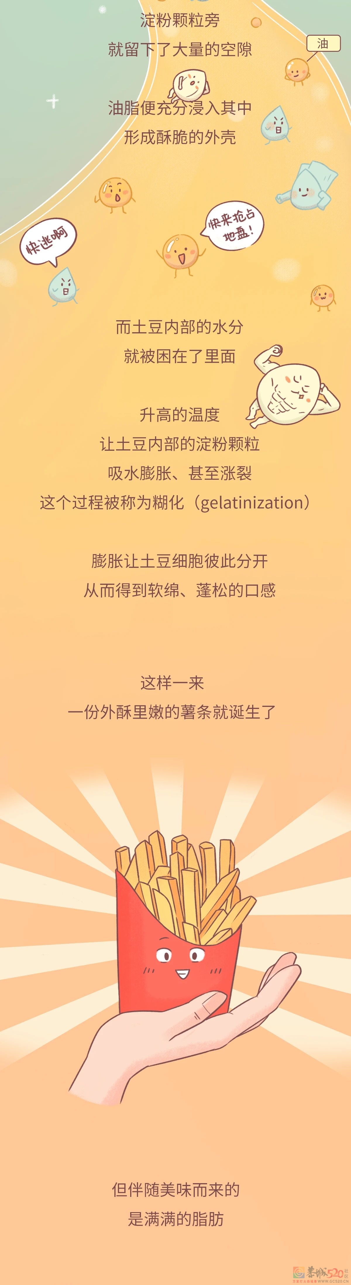 一个秘密：土豆不要和米饭一起吃721 / 作者:健康小天使 / 帖子ID:291840