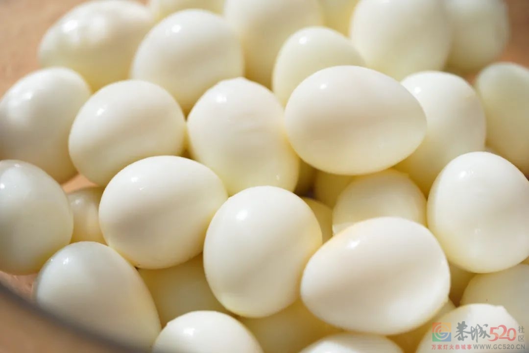 呵，一颗鹌鹑蛋也敢这么虎？872 / 作者:爱生活爱美食 / 帖子ID:291878
