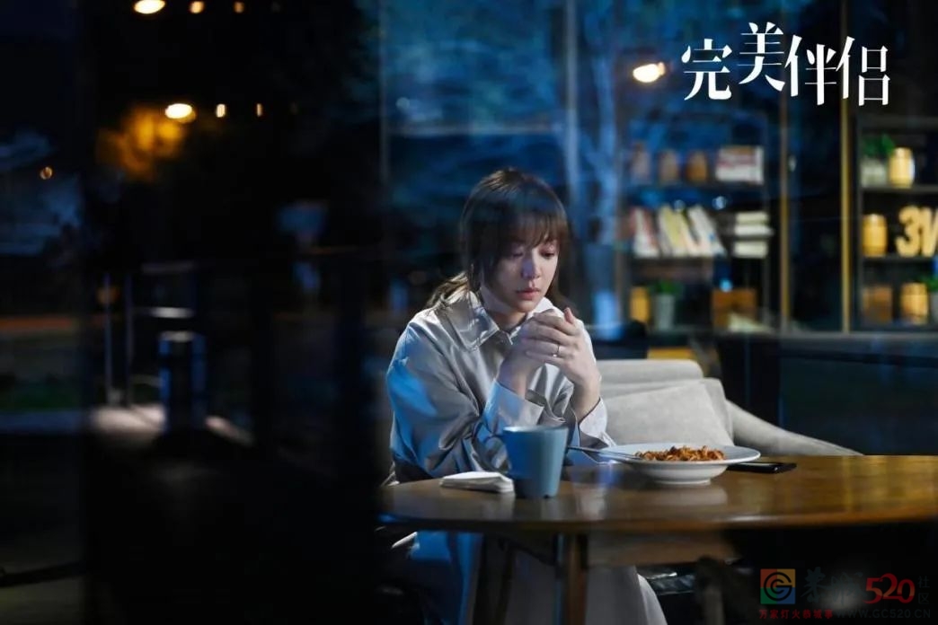 《完美伴侣》：高圆圆新剧，不太接地气655 / 作者:爱生活爱美食 / 帖子ID:291953