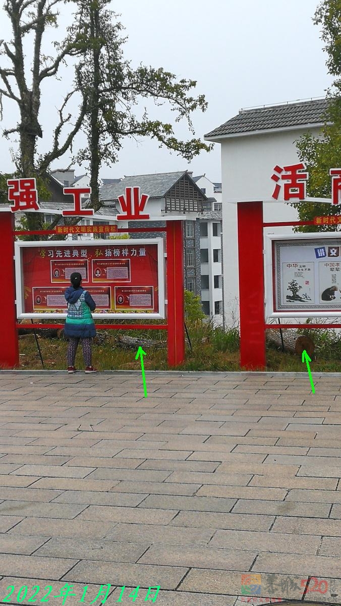 恭城园林部门为让广大群众过一个平安年抓紧清除隐患。619 / 作者:平安大叔 / 帖子ID:291992