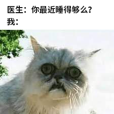 冬天不睡懒觉的人，你们会后悔的！695 / 作者:健康小天使 / 帖子ID:292212