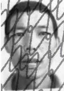 恭城法院发布失信被执行人名单（第二期）817 / 作者:论坛小编01 / 帖子ID:292220