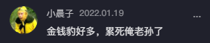 一夜之间，全网网友都换上了“金钱豹”头像！71 / 作者:儿时的回忆 / 帖子ID:292244