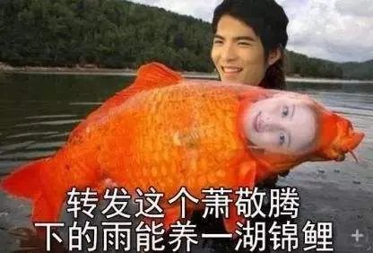 一夜之间，全网网友都换上了“金钱豹”头像！486 / 作者:儿时的回忆 / 帖子ID:292244