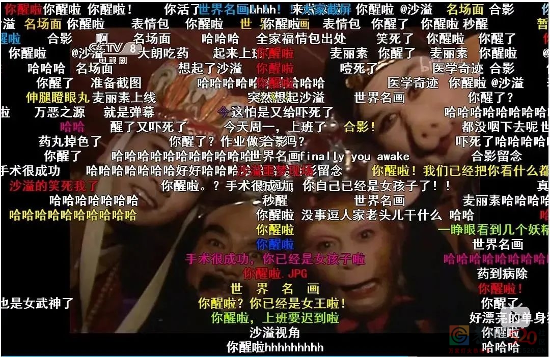 一夜之间，全网网友都换上了“金钱豹”头像！686 / 作者:儿时的回忆 / 帖子ID:292244