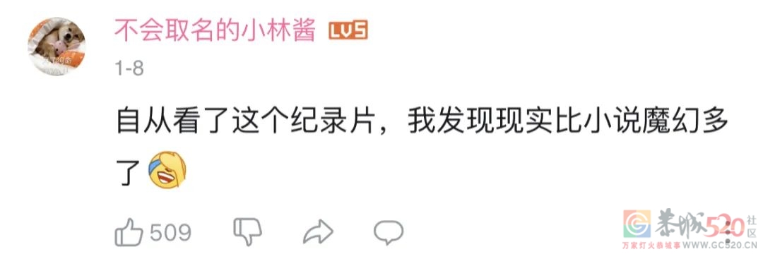 豆瓣9.0，《守护解放西》带着长沙老大回来了263 / 作者:该做的事情 / 帖子ID:292321