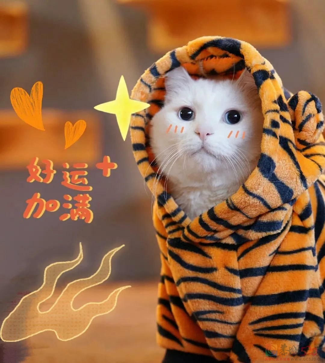 年夜饭吃这个，香味猛于虎也。415 / 作者:爱生活爱美食 / 帖子ID:292415