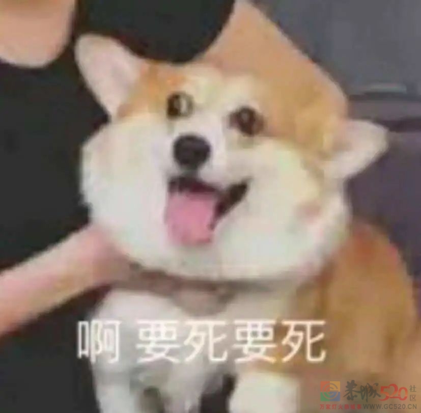 一天干完三斤砂糖橘，很怕我妈叫我滚出去377 / 作者:儿时的回忆 / 帖子ID:292435