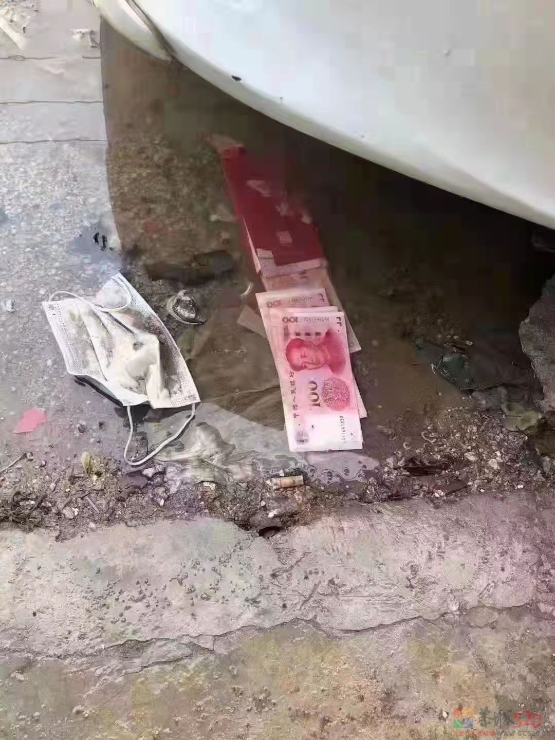 哪个乱丢垃圾？898 / 作者:gooobooo / 帖子ID:292742
