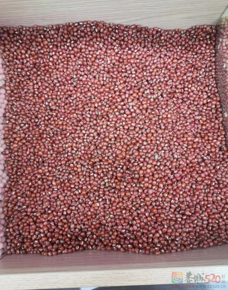 有没有什么方法可以快速把红豆和绿豆分开？125 / 作者:公路美学 / 帖子ID:292854