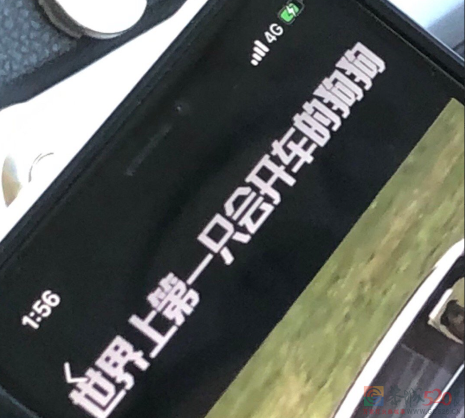 “科目一挂了33次，教练说我未来可期”910 / 作者:儿时的回忆 / 帖子ID:292878