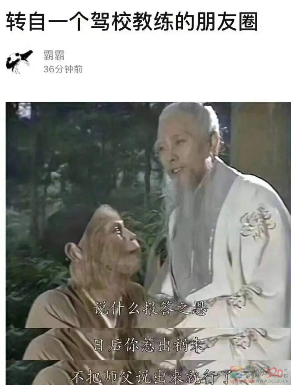 “科目一挂了33次，教练说我未来可期”495 / 作者:儿时的回忆 / 帖子ID:292878