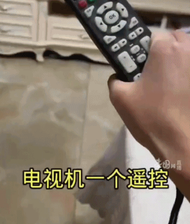我20岁，被智能电视难用到气疯134 / 作者:儿时的回忆 / 帖子ID:293213