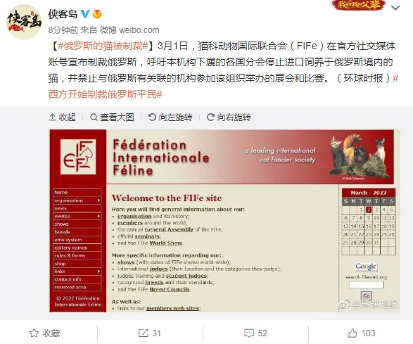 刷新认知：俄罗斯的猫被制裁85 / 作者:gooobooo / 帖子ID:293326