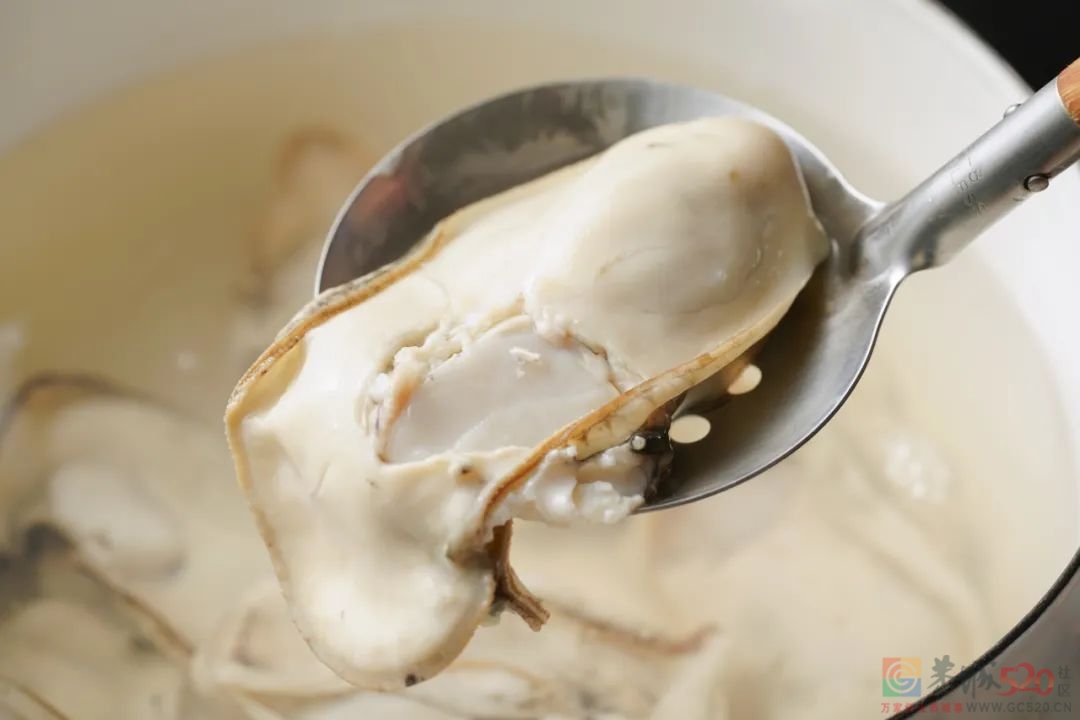 倾城一锅，流口水到脱水。795 / 作者:爱生活爱美食 / 帖子ID:293468