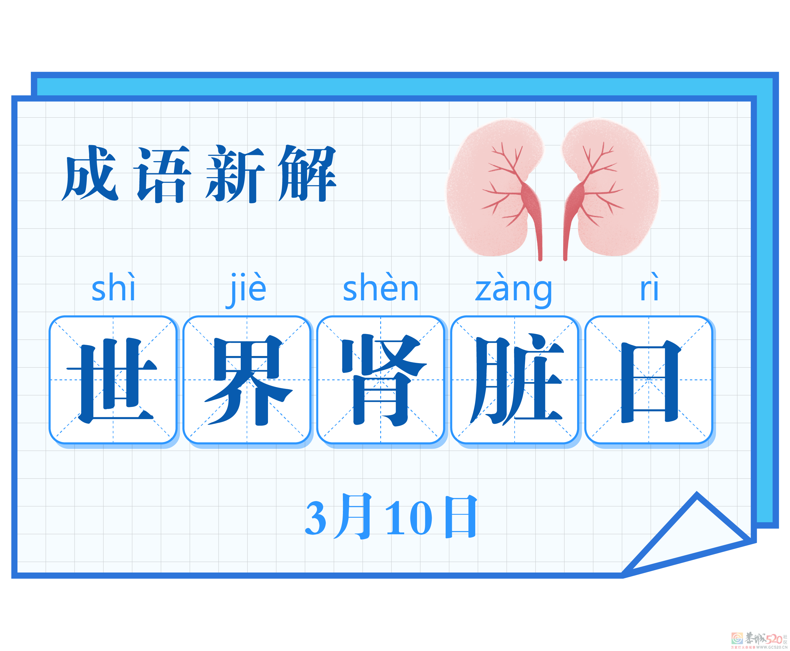 今天，我们聊聊男人“永远的肾”514 / 作者:健康小天使 / 帖子ID:293483