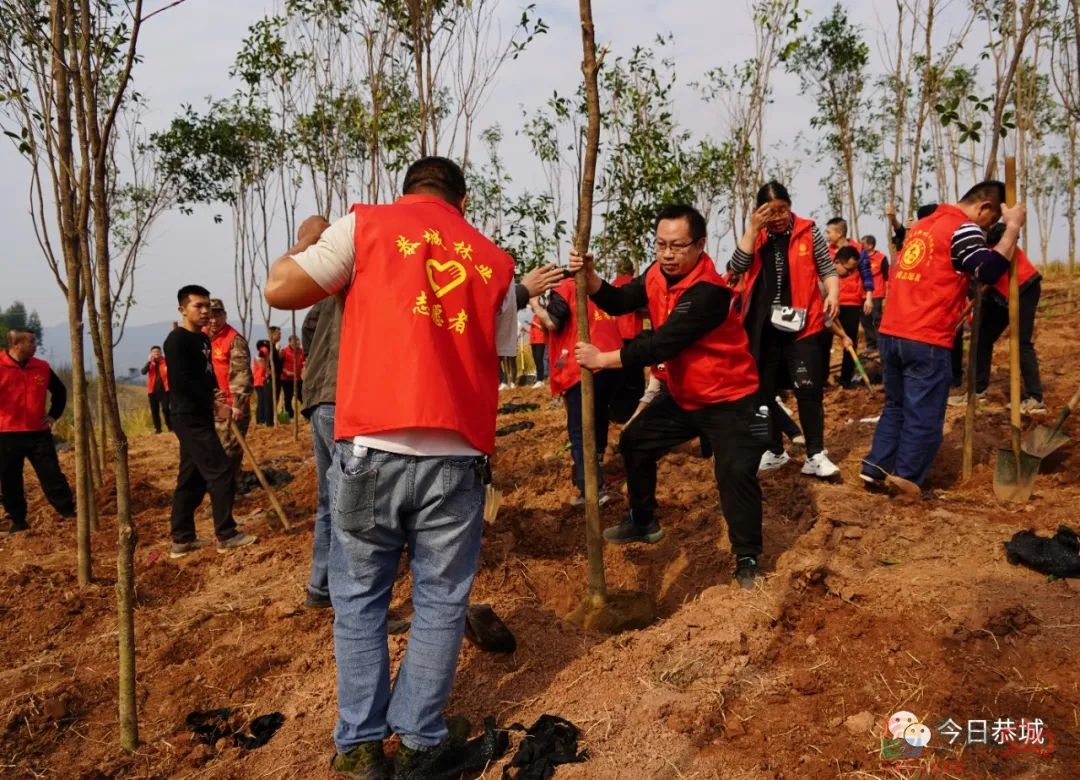 瑶乡大地树遍野 绿水青山带笑颜416 / 作者:论坛小编01 / 帖子ID:293545