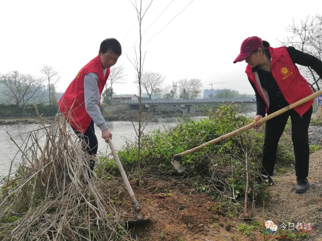 瑶乡大地树遍野 绿水青山带笑颜618 / 作者:论坛小编01 / 帖子ID:293545