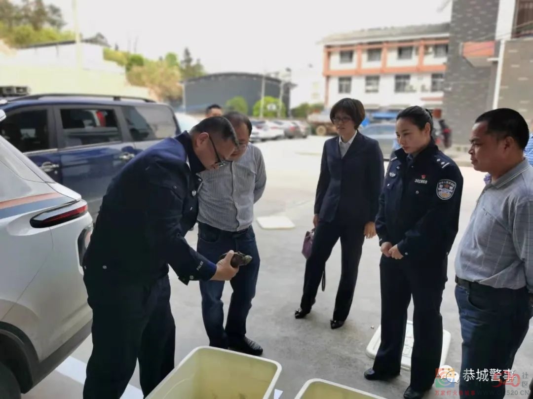 “春雷”行动再添战果！恭城公安局查获野生鹰嘴龟67只186 / 作者:论坛小编01 / 帖子ID:293967