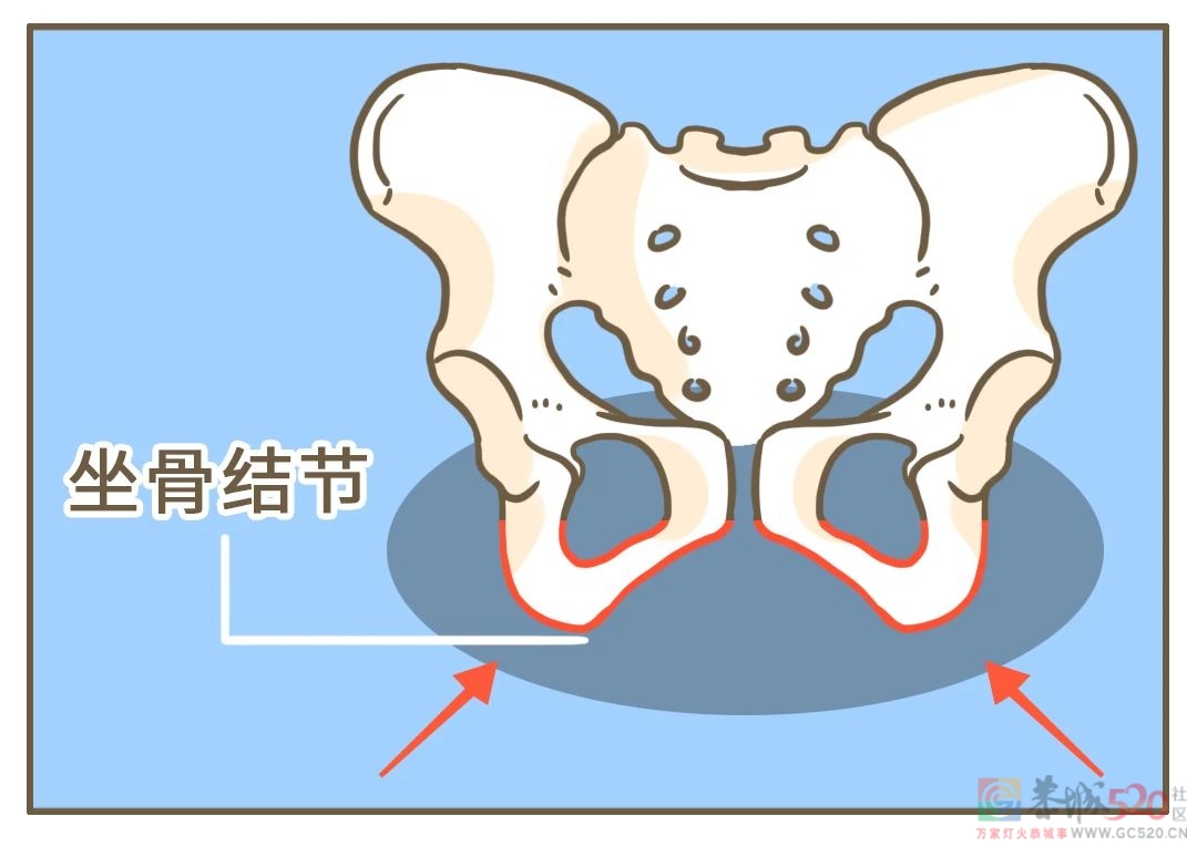 一个坏习惯，让屁股不再白嫩172 / 作者:健康小天使 / 帖子ID:294047