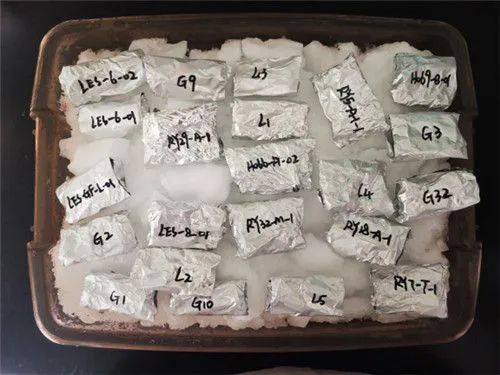 5.6亿人感染过的幽门螺旋杆菌，也被生意盯上了887 / 作者:儿时的回忆 / 帖子ID:294379