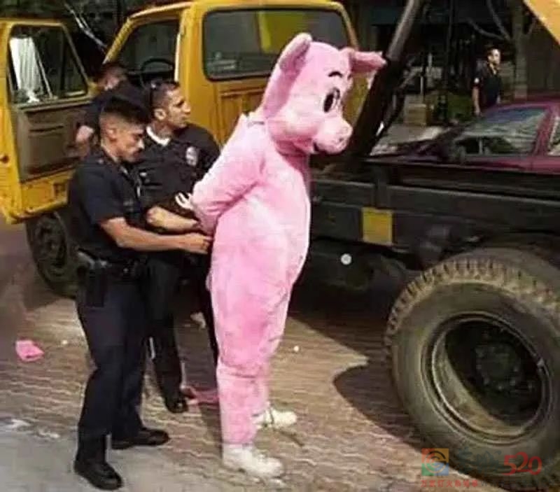 “因为cosplay灭霸太像了，我被当场逮捕”103 / 作者:儿时的回忆 / 帖子ID:294581