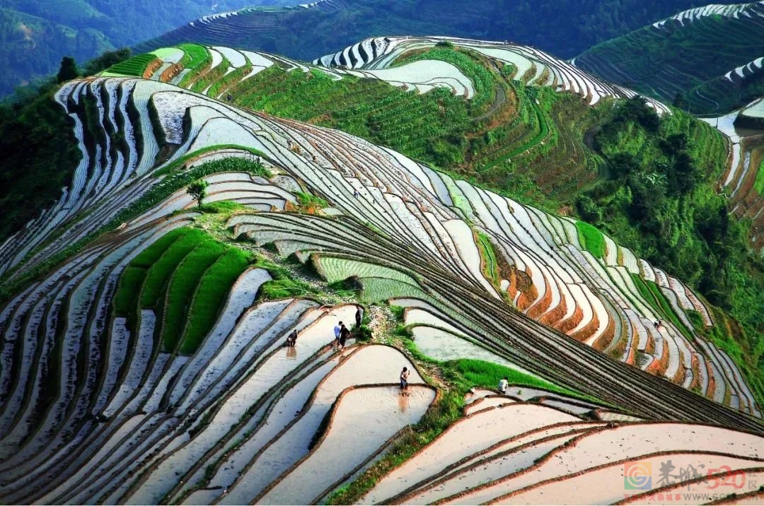 今日谷雨427 / 作者:登山涉水 / 帖子ID:294652