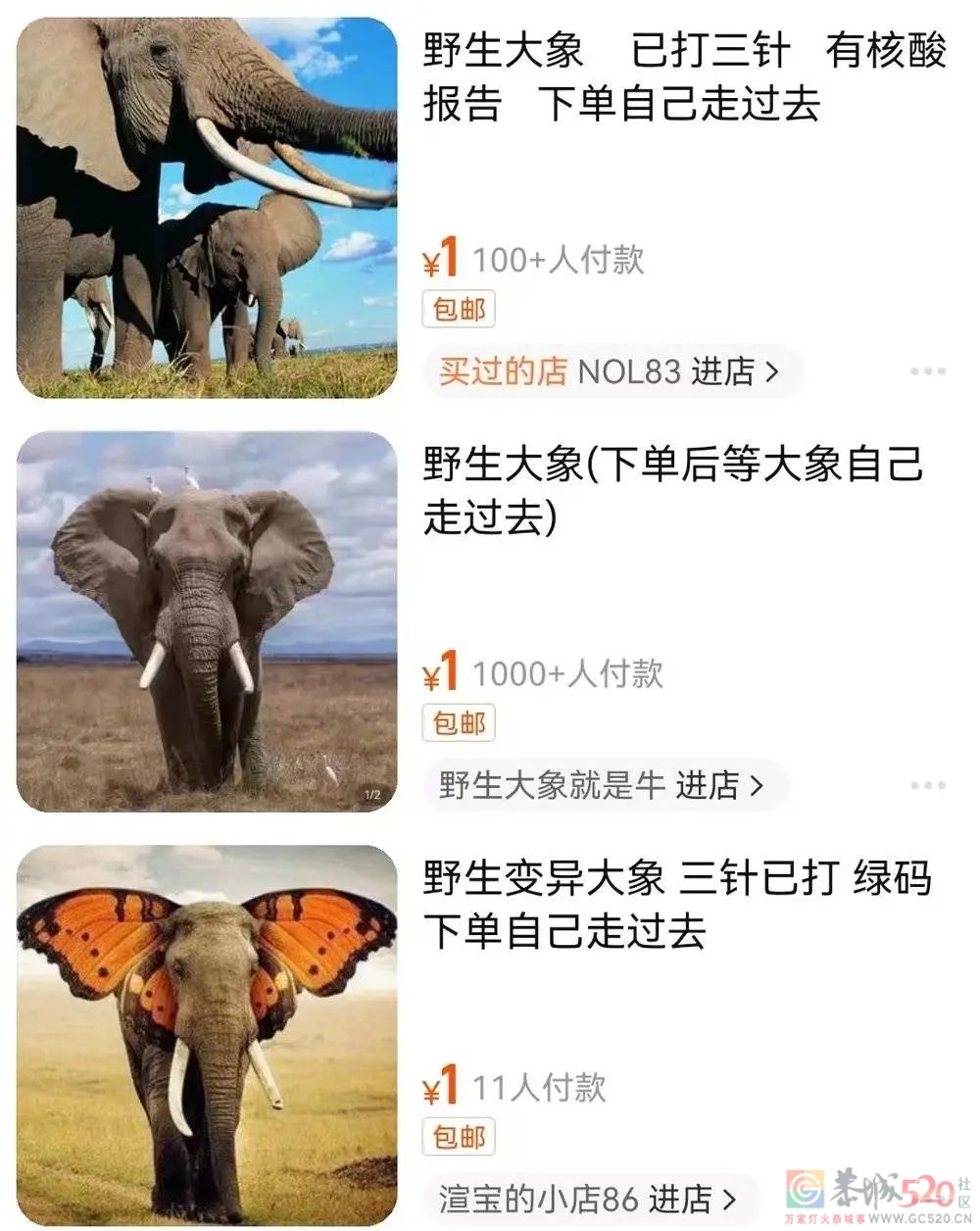 到底是哪些大冤种，在网上买野生大象？998 / 作者:儿时的回忆 / 帖子ID:294706