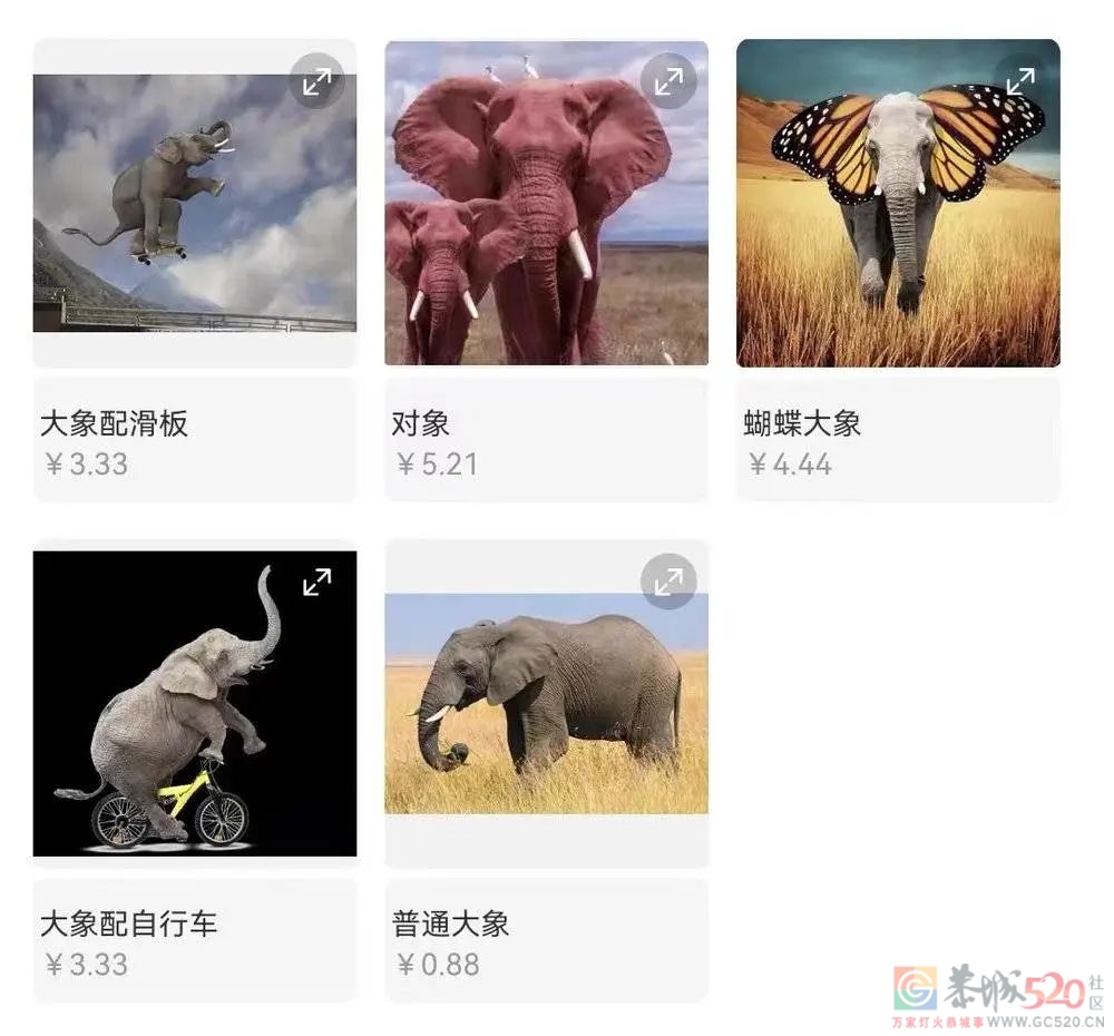 到底是哪些大冤种，在网上买野生大象？620 / 作者:儿时的回忆 / 帖子ID:294706
