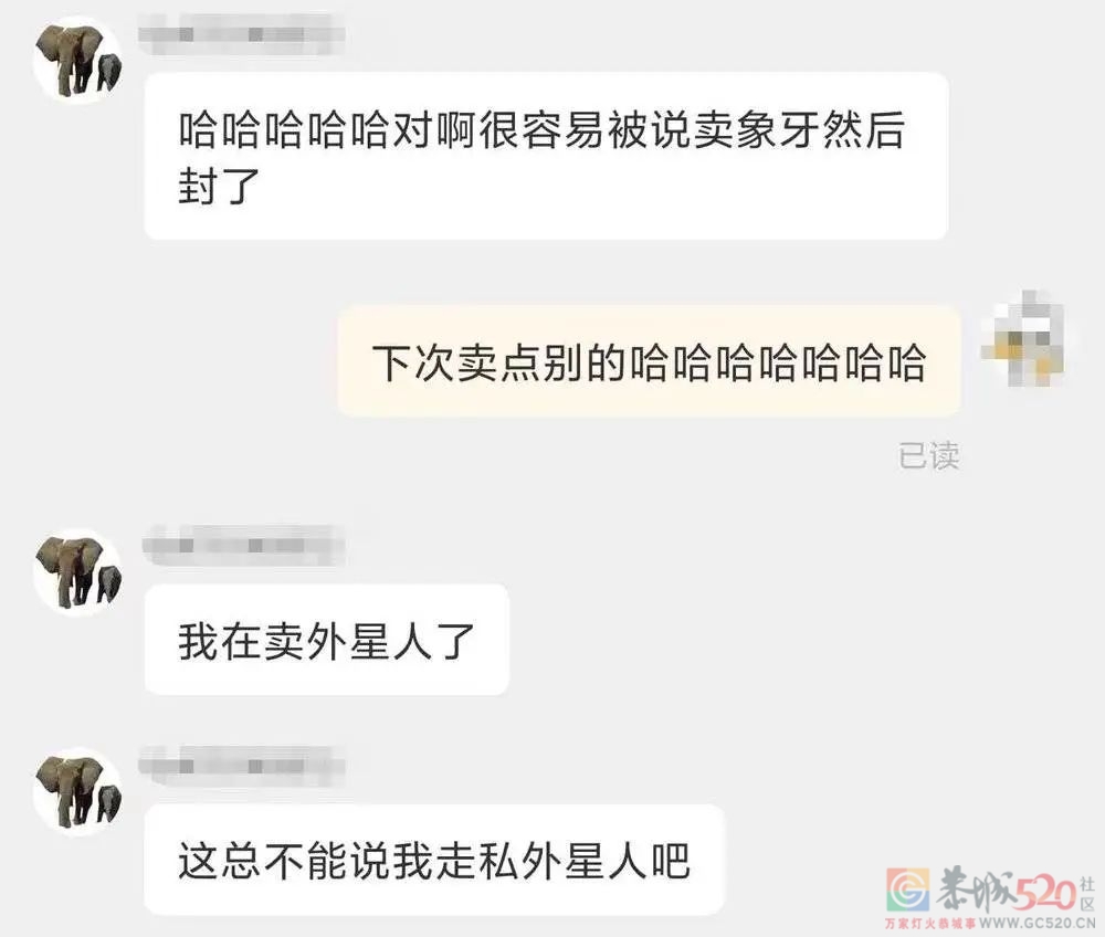 到底是哪些大冤种，在网上买野生大象？152 / 作者:儿时的回忆 / 帖子ID:294706
