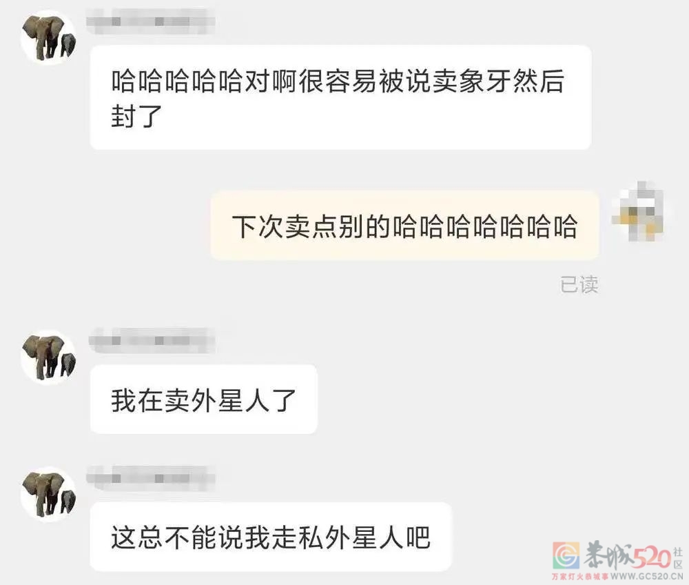 到底是哪些大冤种，在网上买野生大象？149 / 作者:儿时的回忆 / 帖子ID:294706